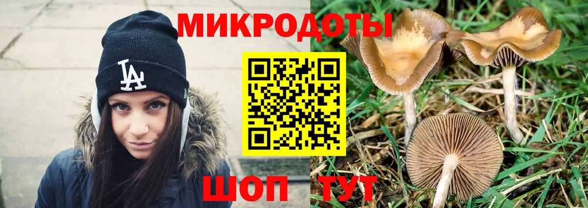 Галлюциногенные грибы Psilocybine cubensis  Псилоцибиновые грибы ЛСД  Вход с VPN  Сызрань 